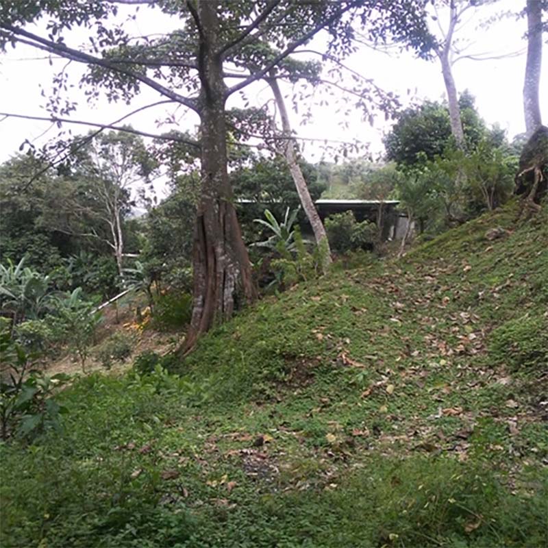 Cangrejal de Acosta, Costa Rica –
Property For Sale